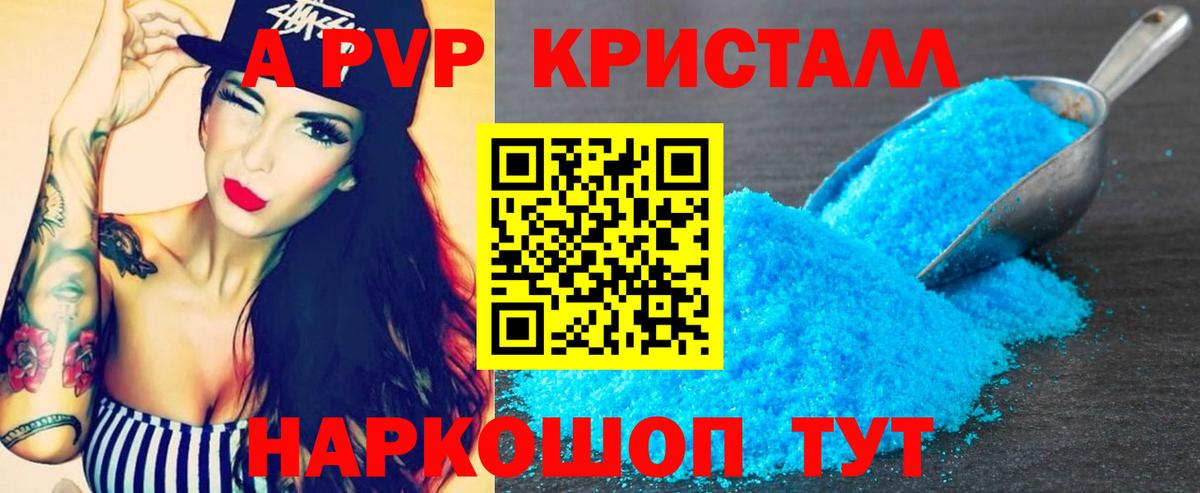A PVP СК КРИС Солнечногорск