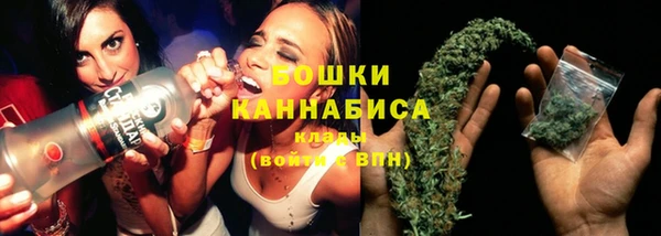 шишки Семёнов