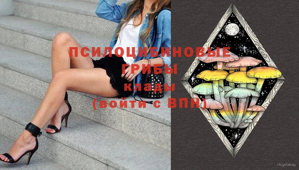 шишки Семёнов