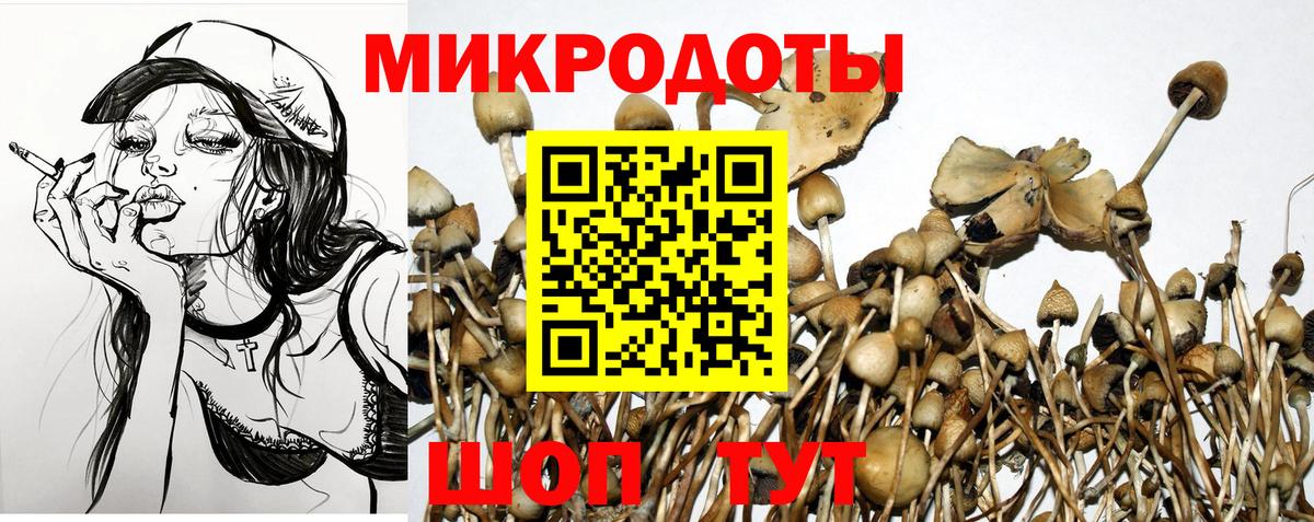 Солнечногорск  Псилоцибиновые грибы MAGIC MUSHROOMS  Вход с VPN 