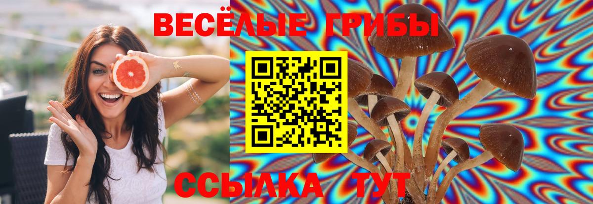 Псилоцибиновые грибы MAGIC MUSHROOMS Солнечногорск